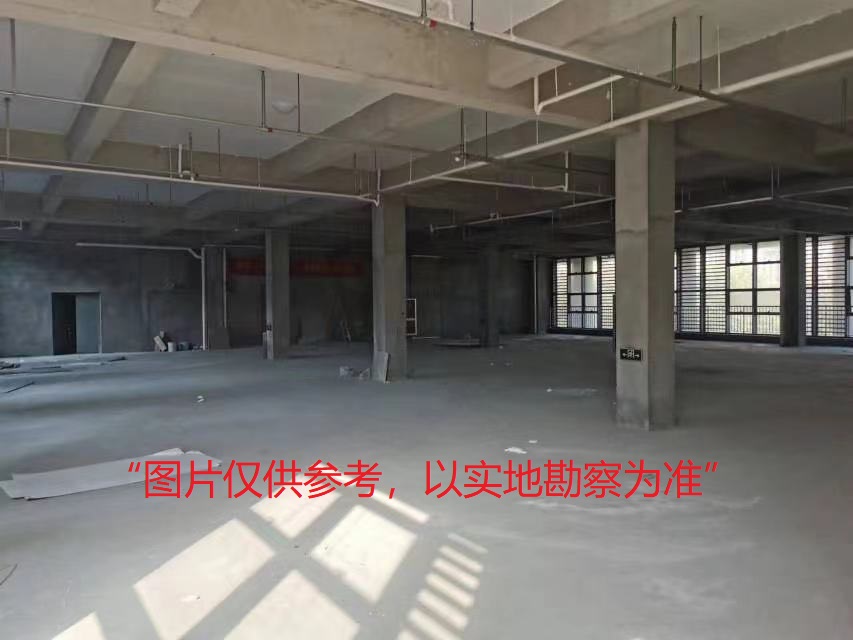 標的照片3.jpg 標的照片3.jpg
